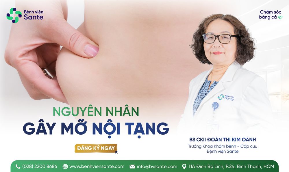 내장 지방의 원인