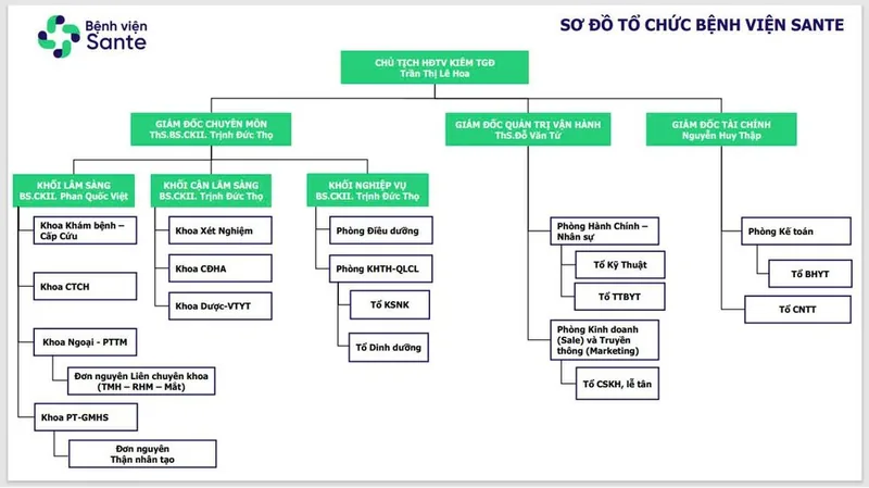Organizational Governance Structure of Sante Hospital