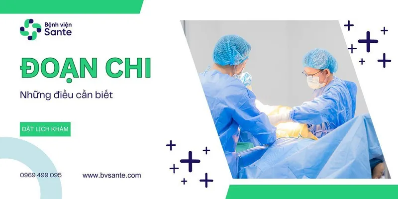 산테 병원 - 절단이란 무엇인가요? 산테 병원 - 절단이란 무엇인가요?