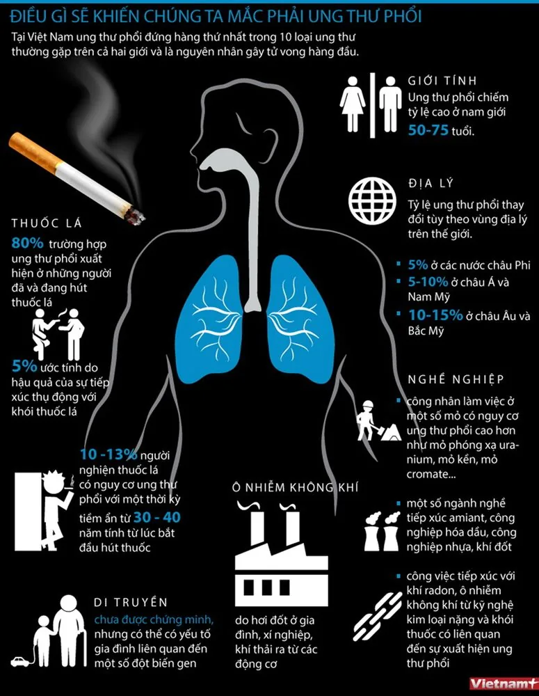 Sante Hospital - Causes of Lung Cancer, Risk Factors, and Prevention Methods (Image 2) Sante Hospital - Causes of Lung Cancer, Risk Factors, and Prevention Methods (Image 2)