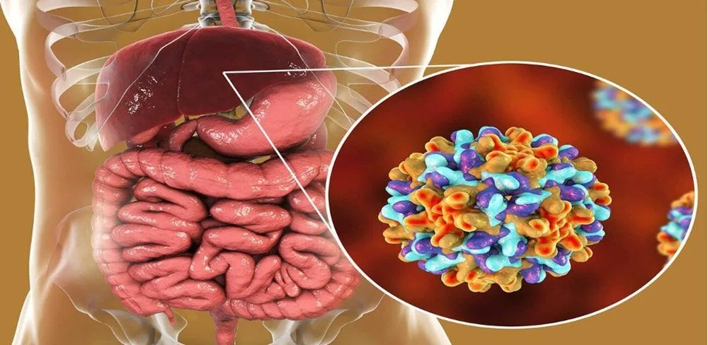 Bệnh viện Sante - Viêm gan virus B: Đường lấy truyền và cách phòng ngừa (Hình 2) Bệnh viện Sante - Viêm gan virus B: Đường lấy truyền và cách phòng ngừa (Hình 2)