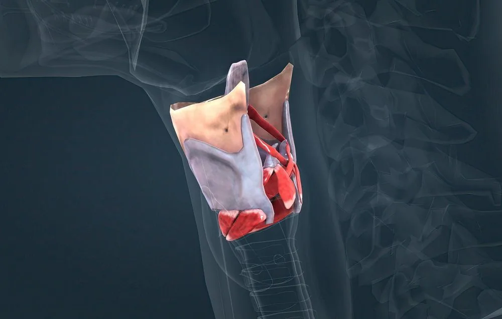 Bệnh viện Sante - Viêm thanh quản cấp_ mạn tính - Nguyên nhân_ triệu chứng và cách phòng ngừa (Hình 2) Bệnh viện Sante - Viêm thanh quản cấp_ mạn tính - Nguyên nhân_ triệu chứng và cách phòng ngừa (Hình 2)