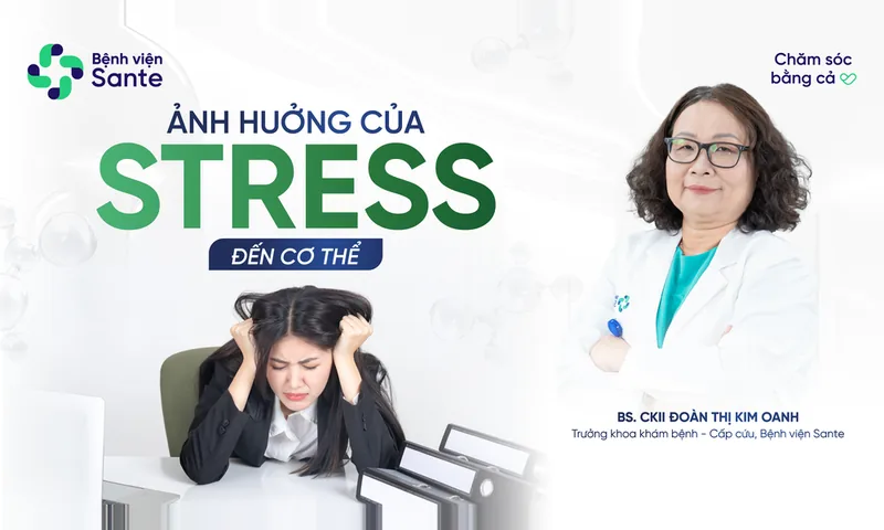 10 Impacts of Stress on the Body That Cause Daily Fatigue