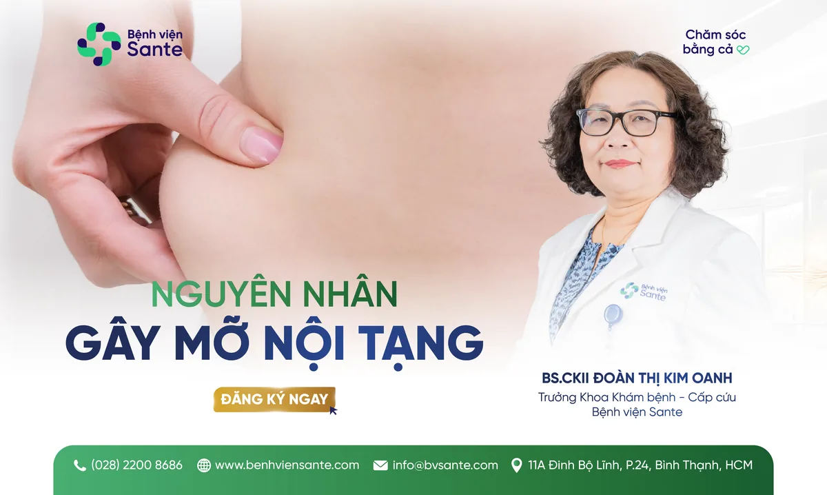 NGUYÊN NHÂN GÂY MỠ NỘI TẠNG - Bệnh viện SANTE Bình Thạnh, TP.HCM NGUYÊN NHÂN GÂY MỠ NỘI TẠNG - Bệnh viện SANTE Bình Thạnh, TP.HCM