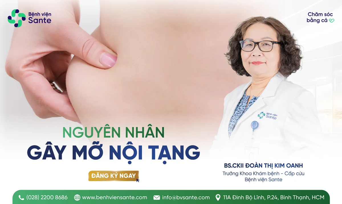 내장지방의 원인 - SANTE 병원 빈탄, 호치민시 내장지방의 원인 - SANTE 병원 빈탄, 호치민시