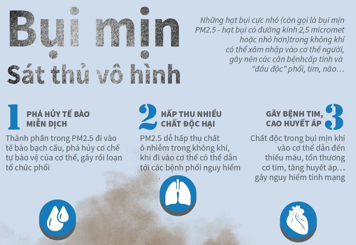 미세먼지가 인체 건강에 미치는 유해성 - 이미지 2 - 산테(SANTE) 병원 빈탄, 호치민시